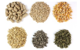 Animal Feed Mills​